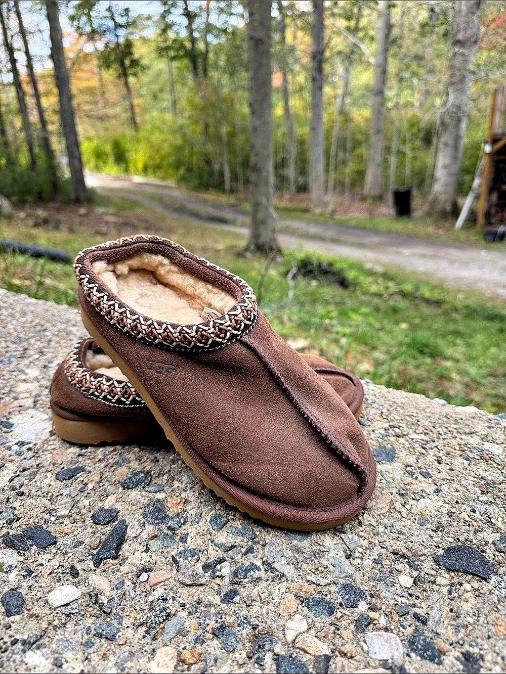 UGG Tasman Slipper Brown Slippers